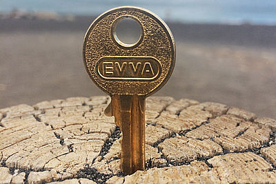 Foto eines EVVA-Schlüssels in einem Baum